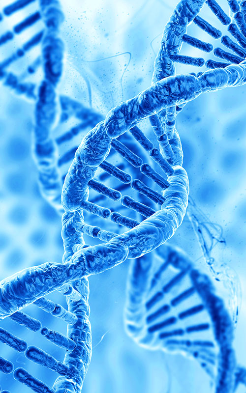 PDRN (polydeoksiribonukleotidi)